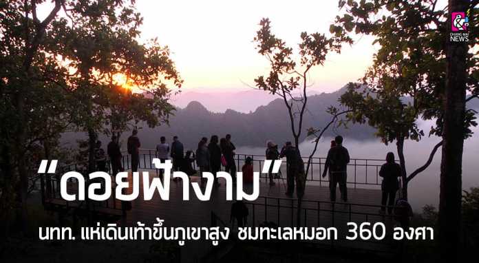 นักท่องเที่ยว แห่เดินเท้าขึ้นภูเขาสูง ชมทะเลหมอก 360 องศา “ดอยฟ้างาม”